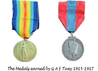 The Medals Earned By George Tivey
