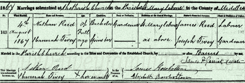 Hannah-Tivey-and-Nathan-Reed-Marriage-Certificate