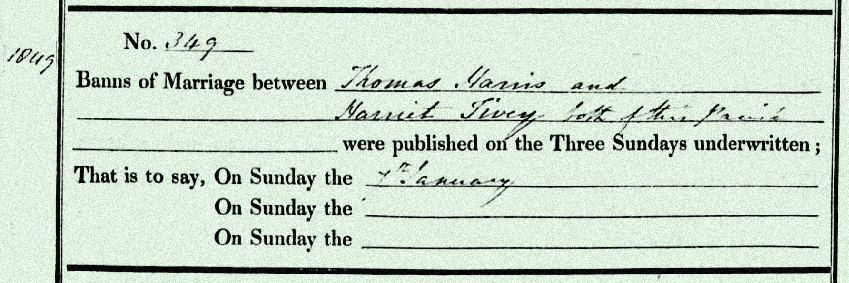 Harriett-Tivey-and-Thomas-Harris-Marriage-Certificate